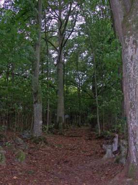 Kalvarienberg3 (Bitte hier klicken um dieses Bild in seiner vollen Gr&ouml;&szlig;e zu betrachten)